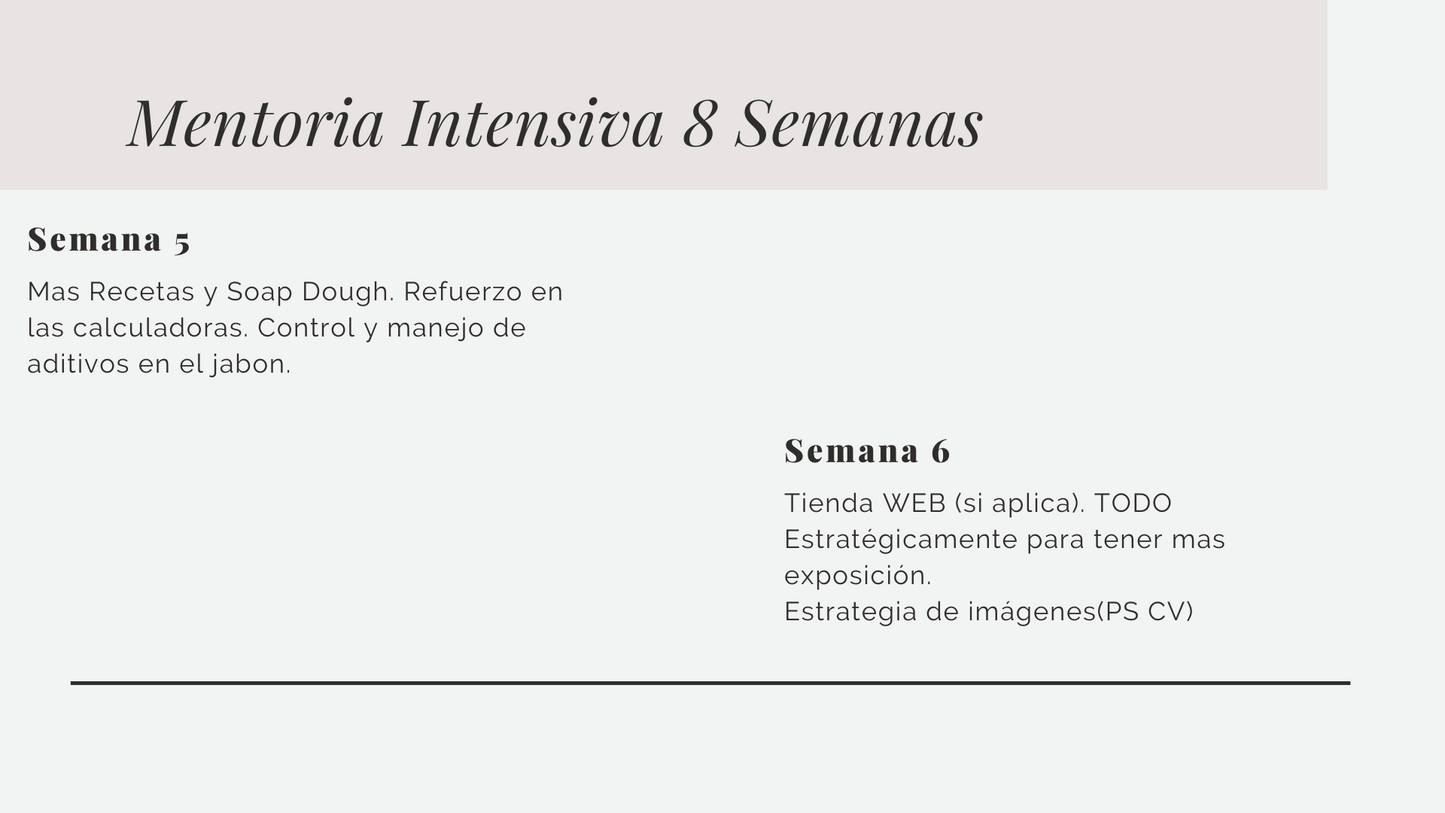 Mentoria Intensiva 8 semanas. (LISTA DE ESPERA)